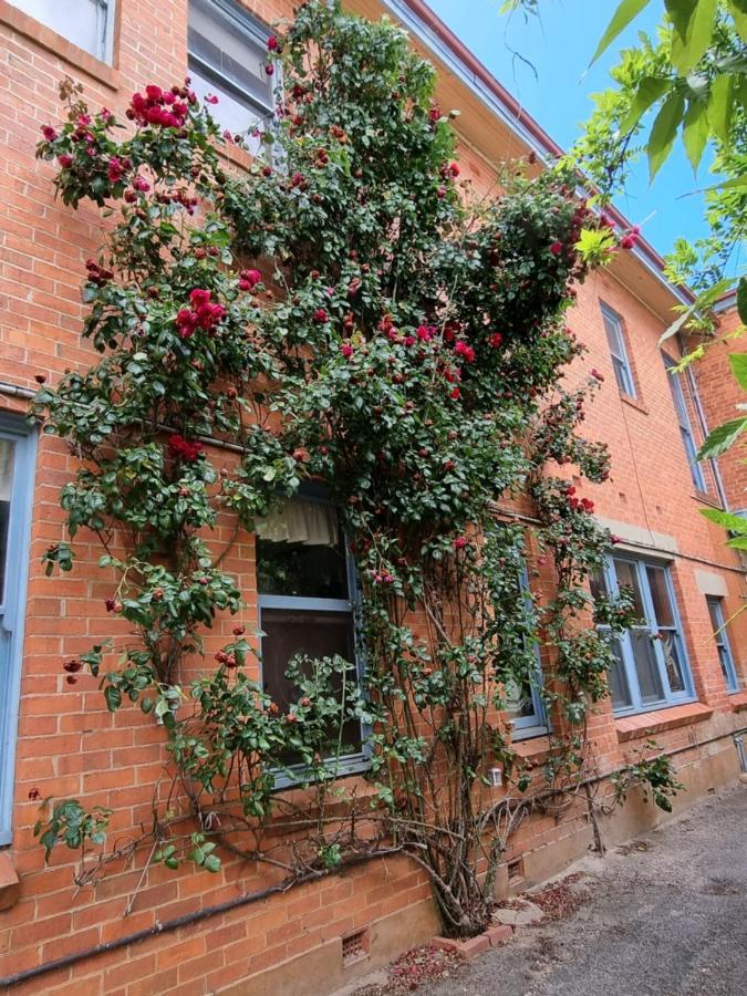 La Cochon Rose Motel Saint Arnaud 외부 사진