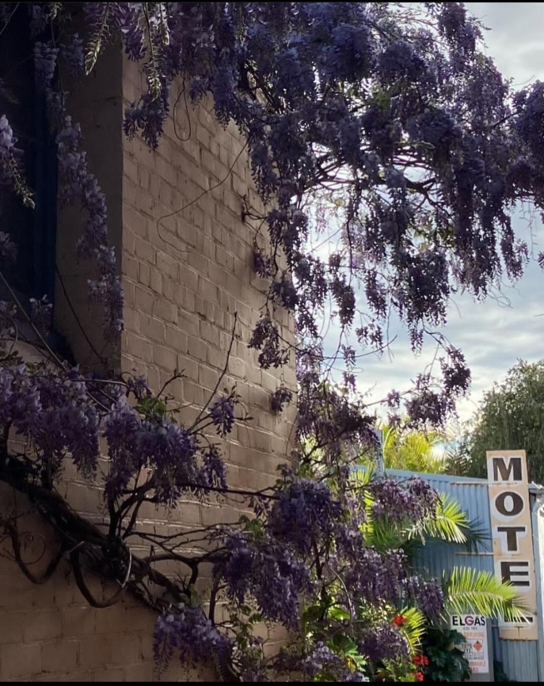 La Cochon Rose Motel Saint Arnaud 외부 사진